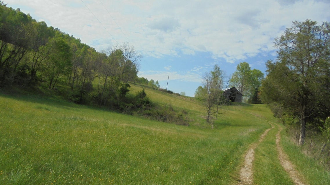Photo #4: Tbd Robinette Valley Road