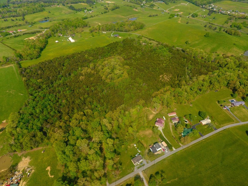 Photo #11: Tbd Bulls Gap St Clair Road