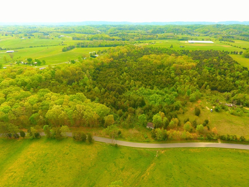 Photo #22: Tbd Bulls Gap St Clair Road