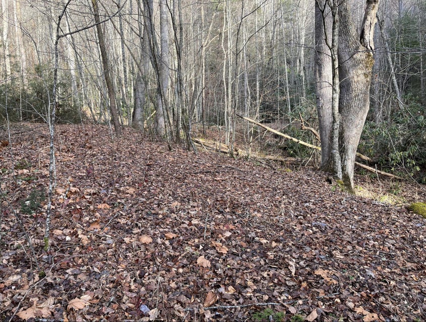 Photo #8: Tract 1 Heaton Branch Road