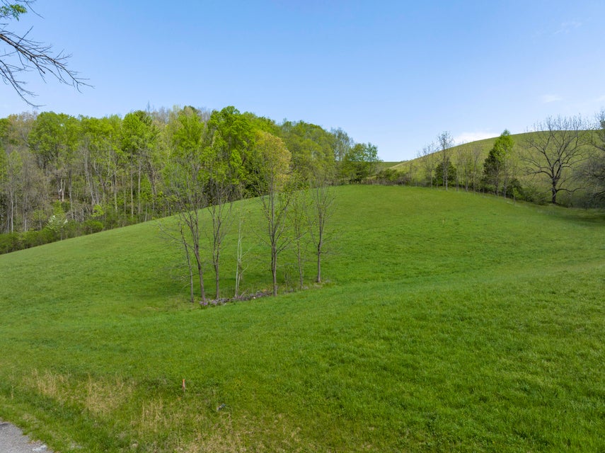 Photo #2: Tbd W Of Dry Hill Road