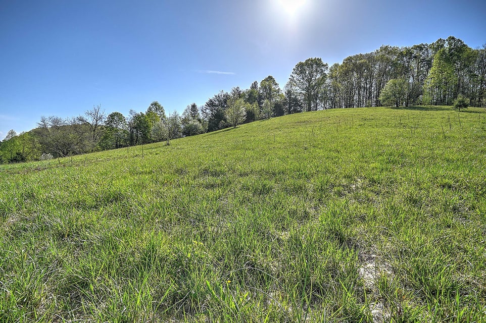 Photo #7: Tbd Jenkins Hollow Road