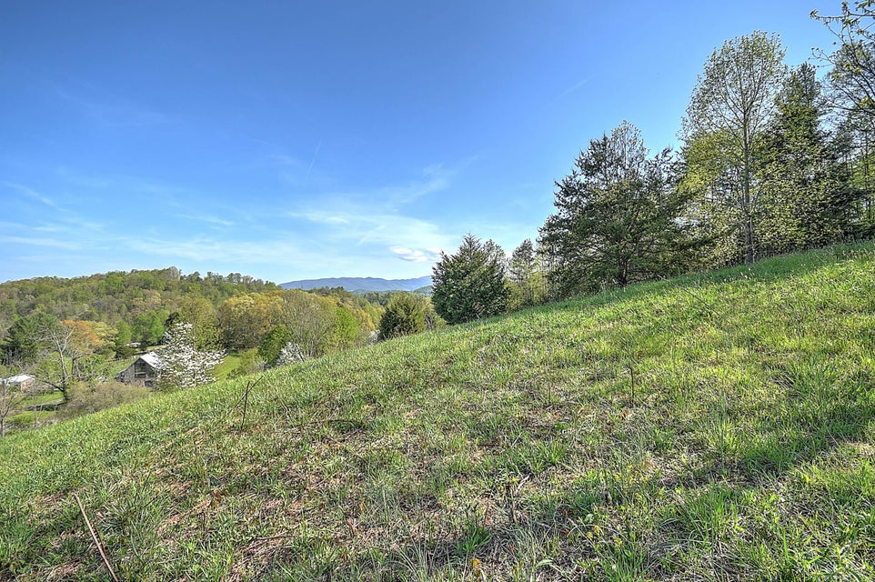 Photo #13: Tbd Jenkins Hollow Road
