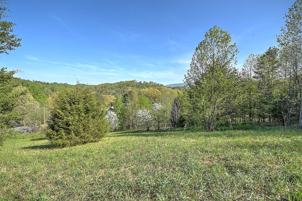Photo #16: Tbd Jenkins Hollow Road