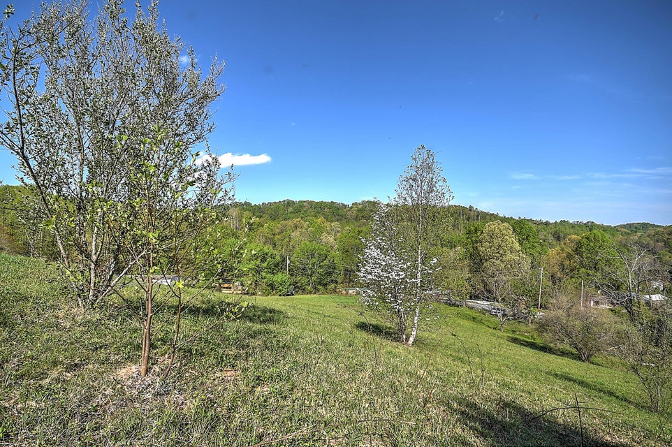 Photo #18: Tbd Jenkins Hollow Road