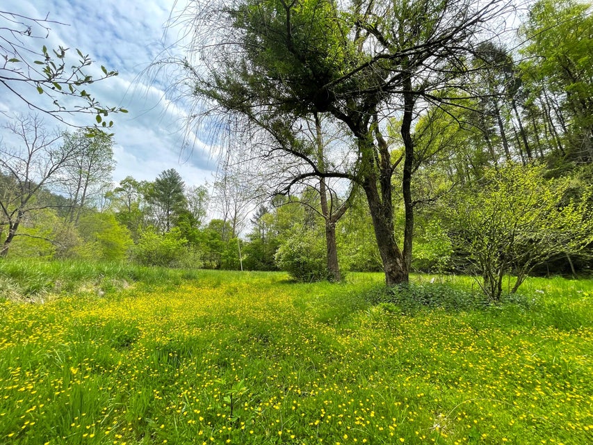 Photo #8: 295 Dry Fork Road