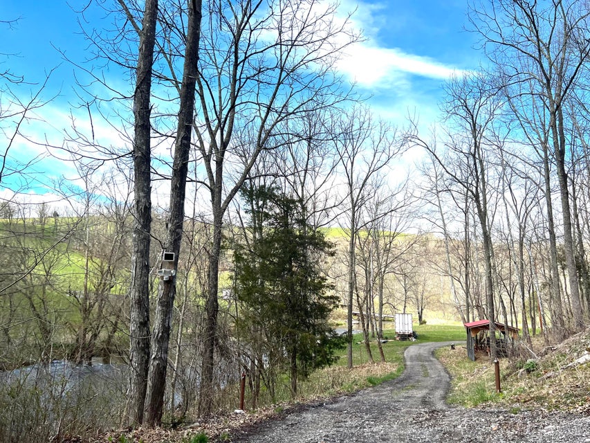 Photo #40: 1551 Big Moccasin Road