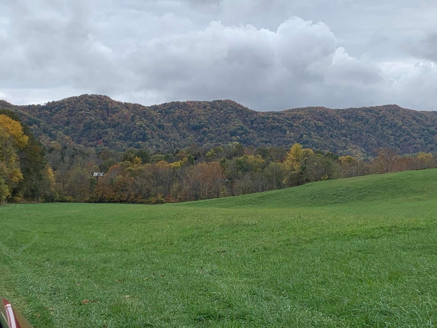 Photo #8: 1551 Big Moccasin Road