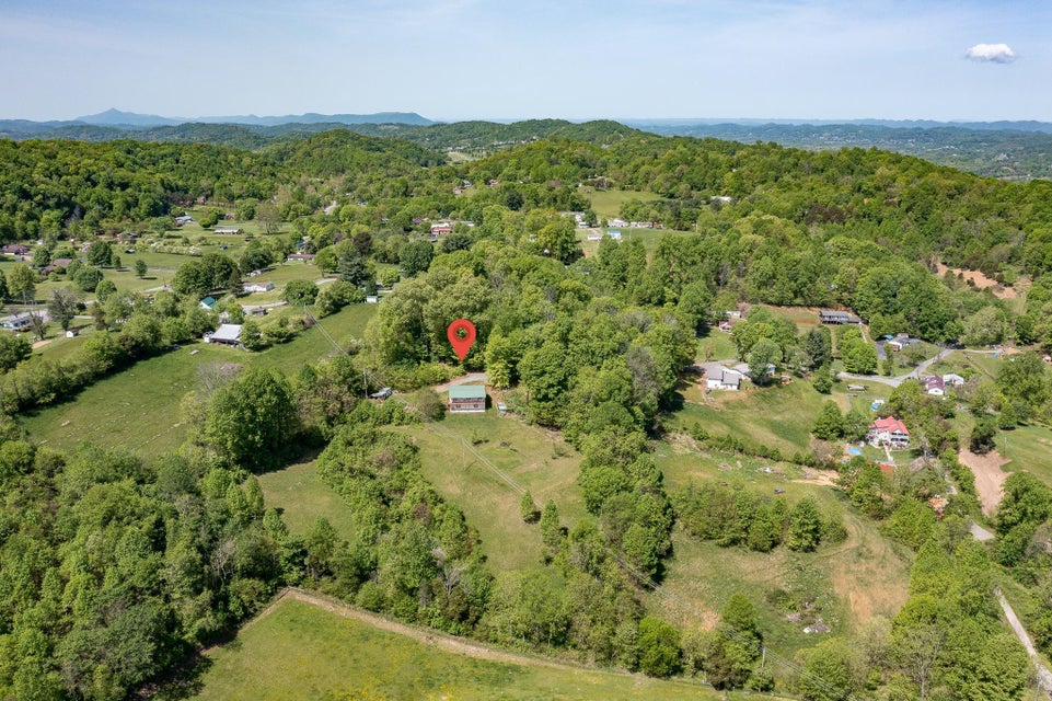 Photo #48: 280 Lester Road