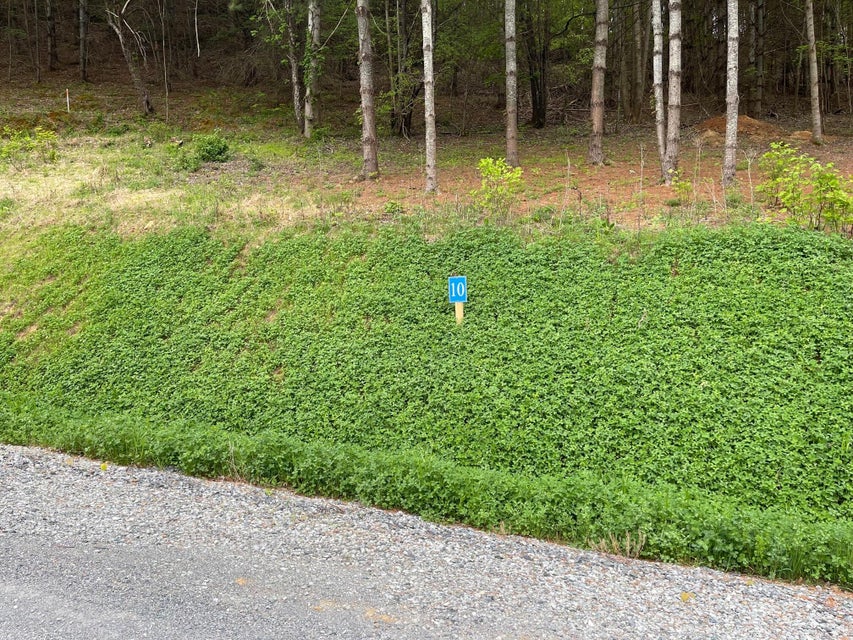 Photo #3: Lot 10 Cowan Town Road