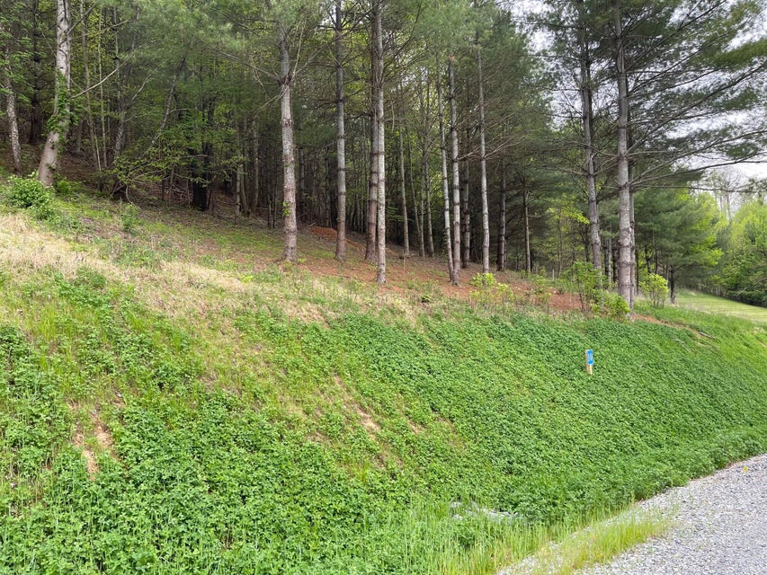 Photo #5: Lot 10 Cowan Town Road