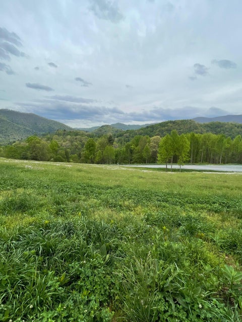 Photo #3: Lot 52 Cowan Town Rd Road