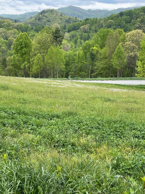 Photo #4: Lot 52 Cowan Town Rd Road