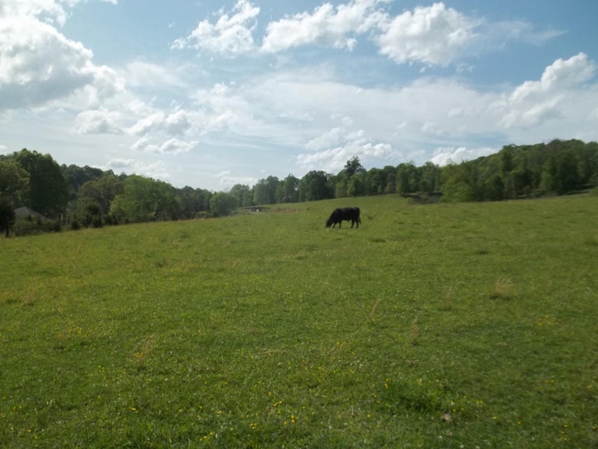 Photo #8: Par 74.03 Tipton Lane