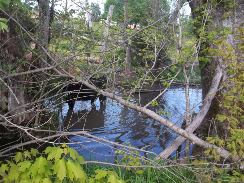 Photo #12: Par 74.03 Tipton Lane
