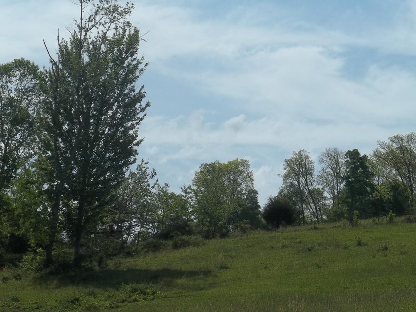 Photo #28: Par 74.03 Tipton Lane