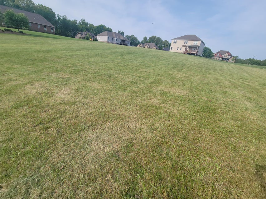Photo #3: 7045 Cardiff Way