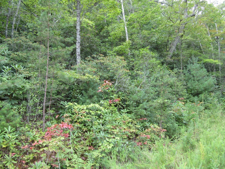 Photo #5: Tba Roan Creek Road