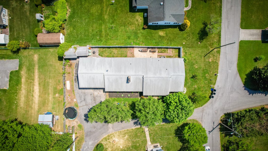 Photo #40: 537 Dickerson Street