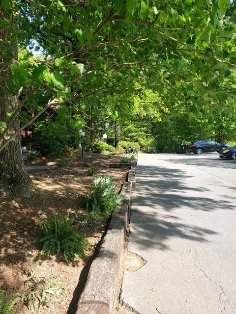 Photo #7: 115 Beechnut Street