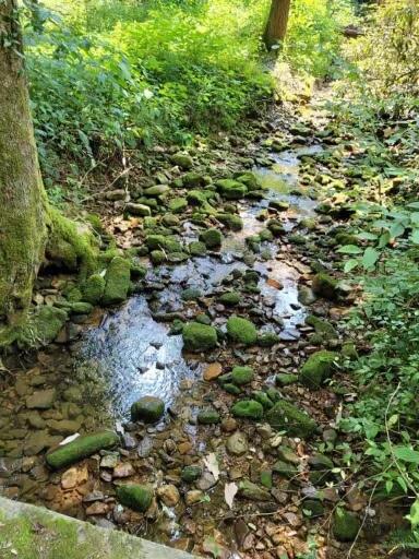 Photo #10: Tbd Dry Creek Road
