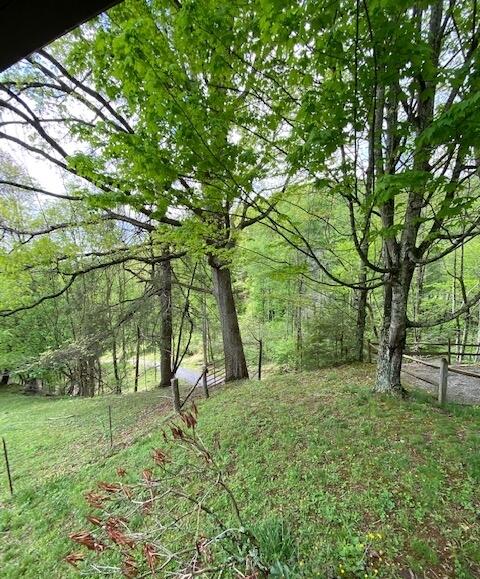 Photo #13: 836 Hubert Haynes Rd