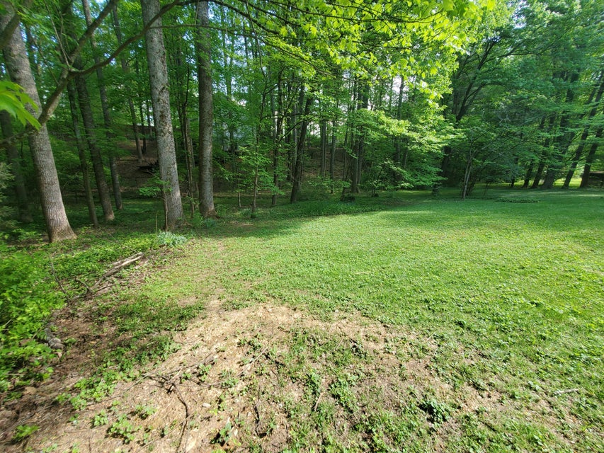 Photo #8: 1610 Woodridge Drive