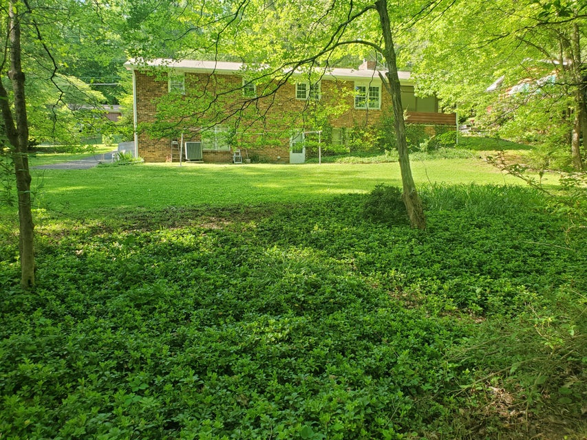Photo #12: 1610 Woodridge Drive