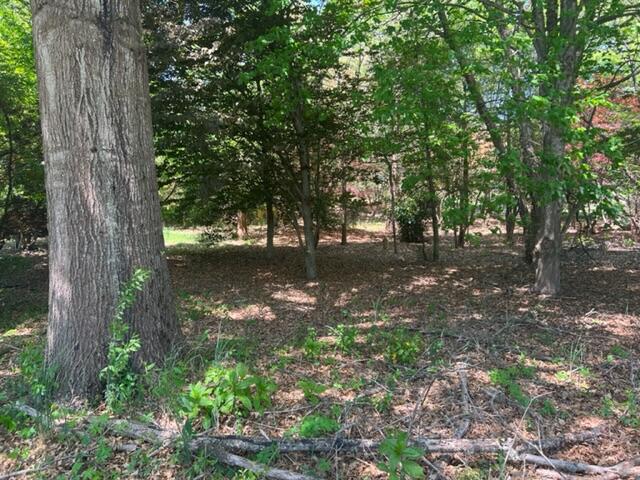 Photo #4: 0 Ruth Brook Drive