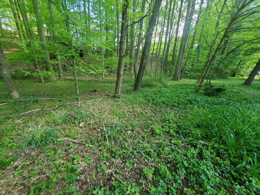 Photo #7: 1608 Woodridge Drive