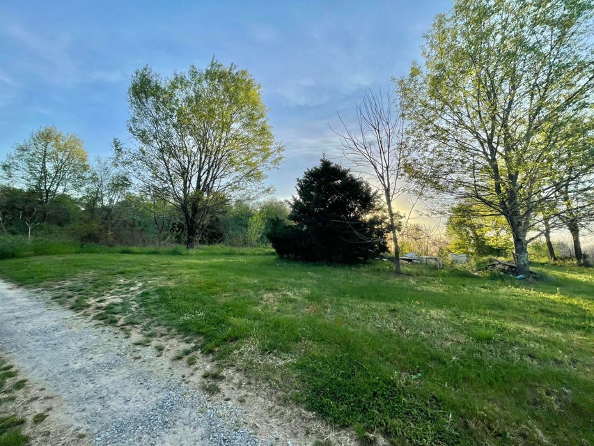Photo #4: Tbd Middle Creek Road
