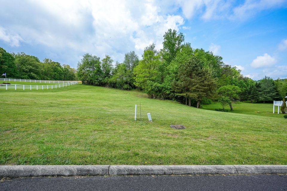 Photo #5: Tbd Walnut Grove Road