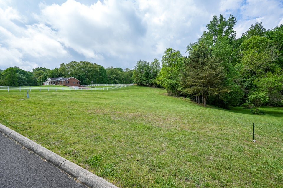 Photo #7: Tbd Walnut Grove Road