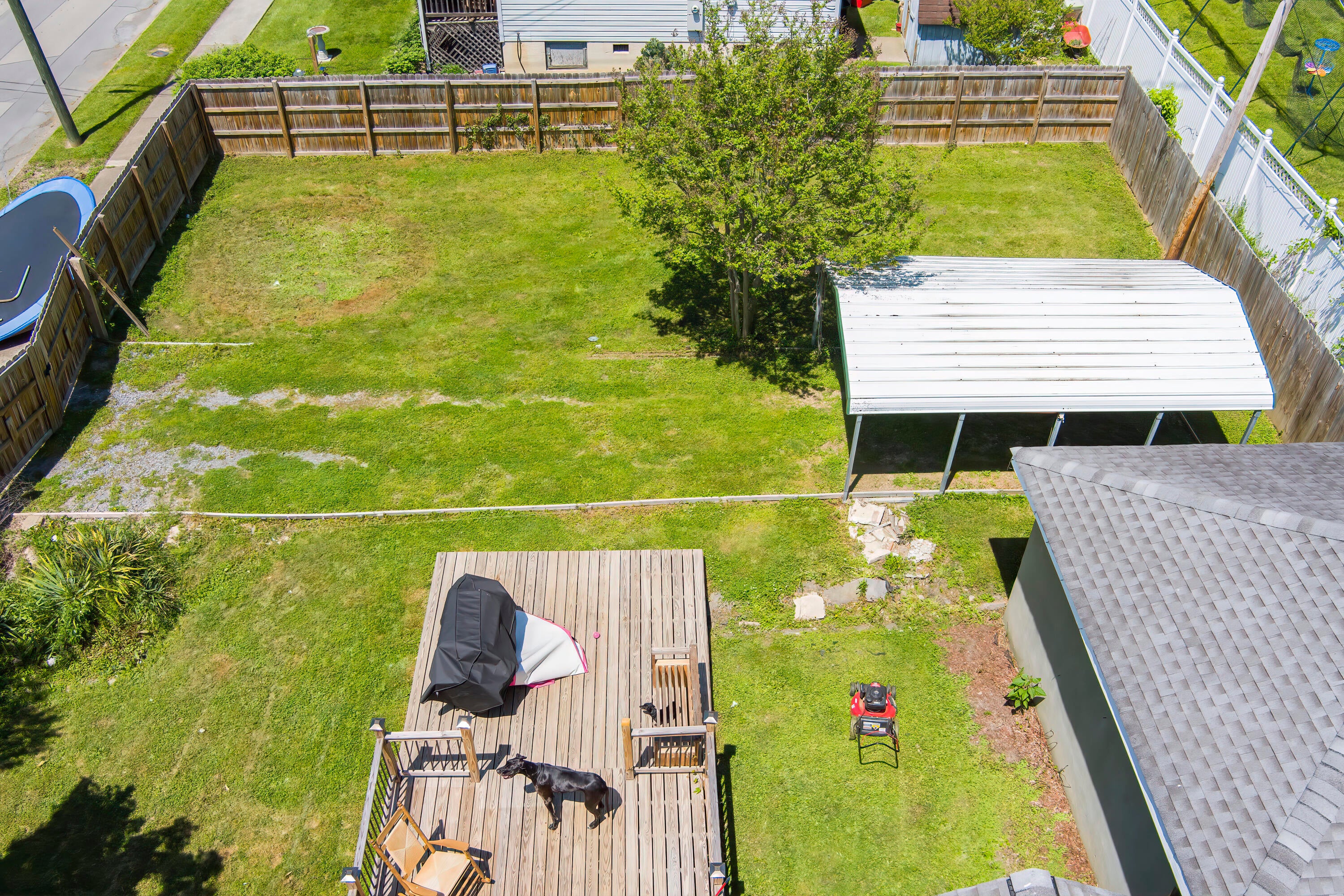 Photo #31: 1002 Watauga Street
