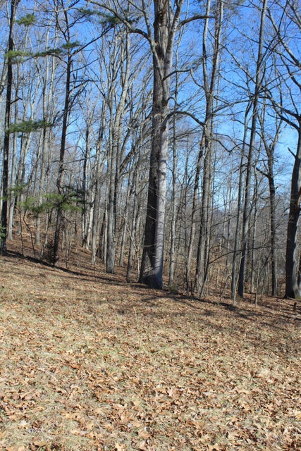 Photo #29: 1022 Purchase Ridge Road