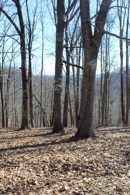 Photo #30: 1022 Purchase Ridge Road