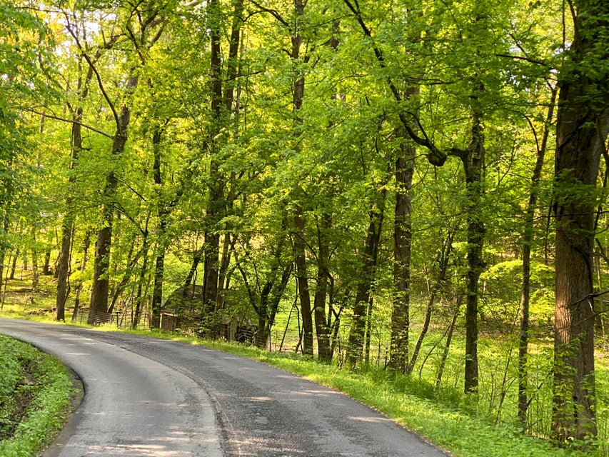 Photo #6: Lot 2 & 4 Fielden Store Road