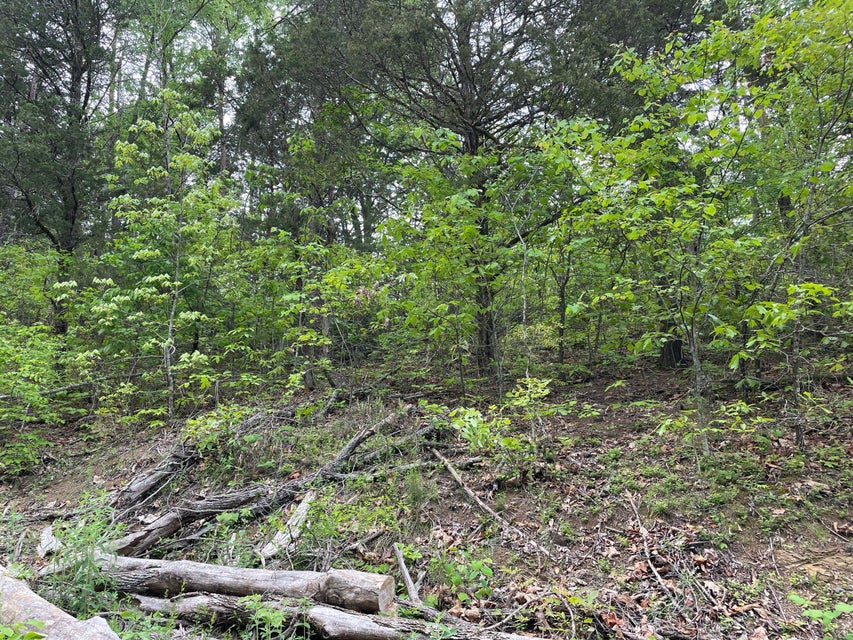 Photo #6: Lot 8 Emerald Waters Dr
