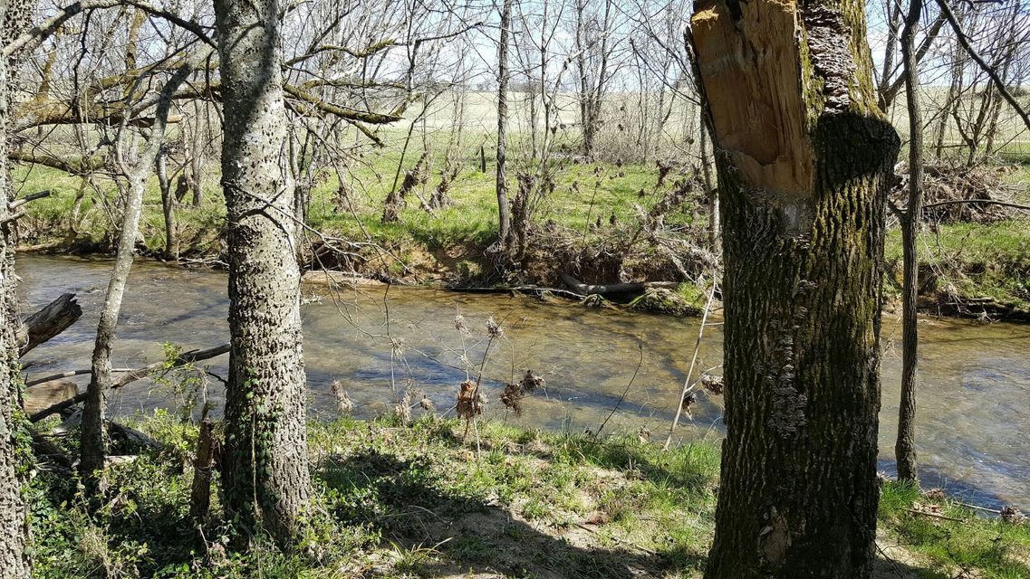 Photo #6: 513&533 Bowmantown Rd