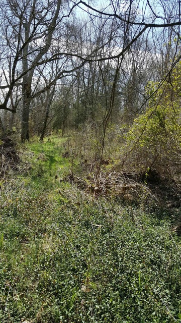 Photo #8: 513&533 Bowmantown Rd