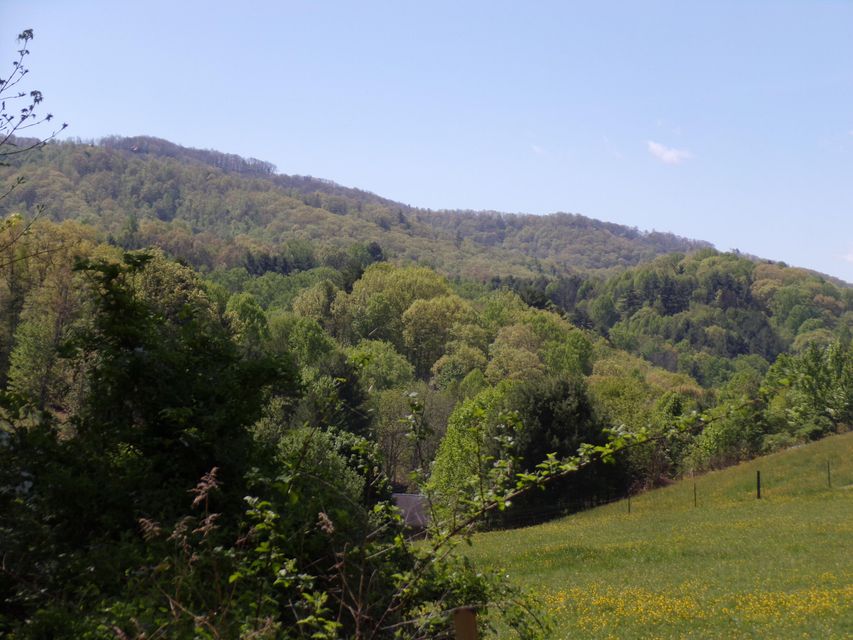 Photo #2: 2394 Johnson Hollow Road