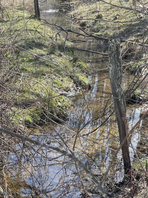 Photo #29: 468 Atwood Street