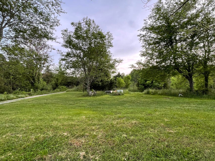 Photo #7: Tbd Middle Creek Road
