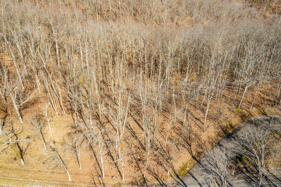 Photo #4: 1409 Echota Lane