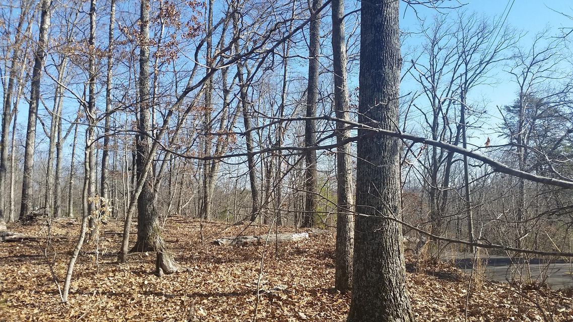 Photo #10: 1409 Echota Lane