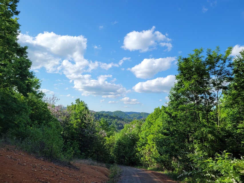 Photo #4: 157 Forest Hills Road Road