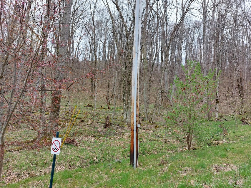 Photo #3: Tbd Toms Creek Drive