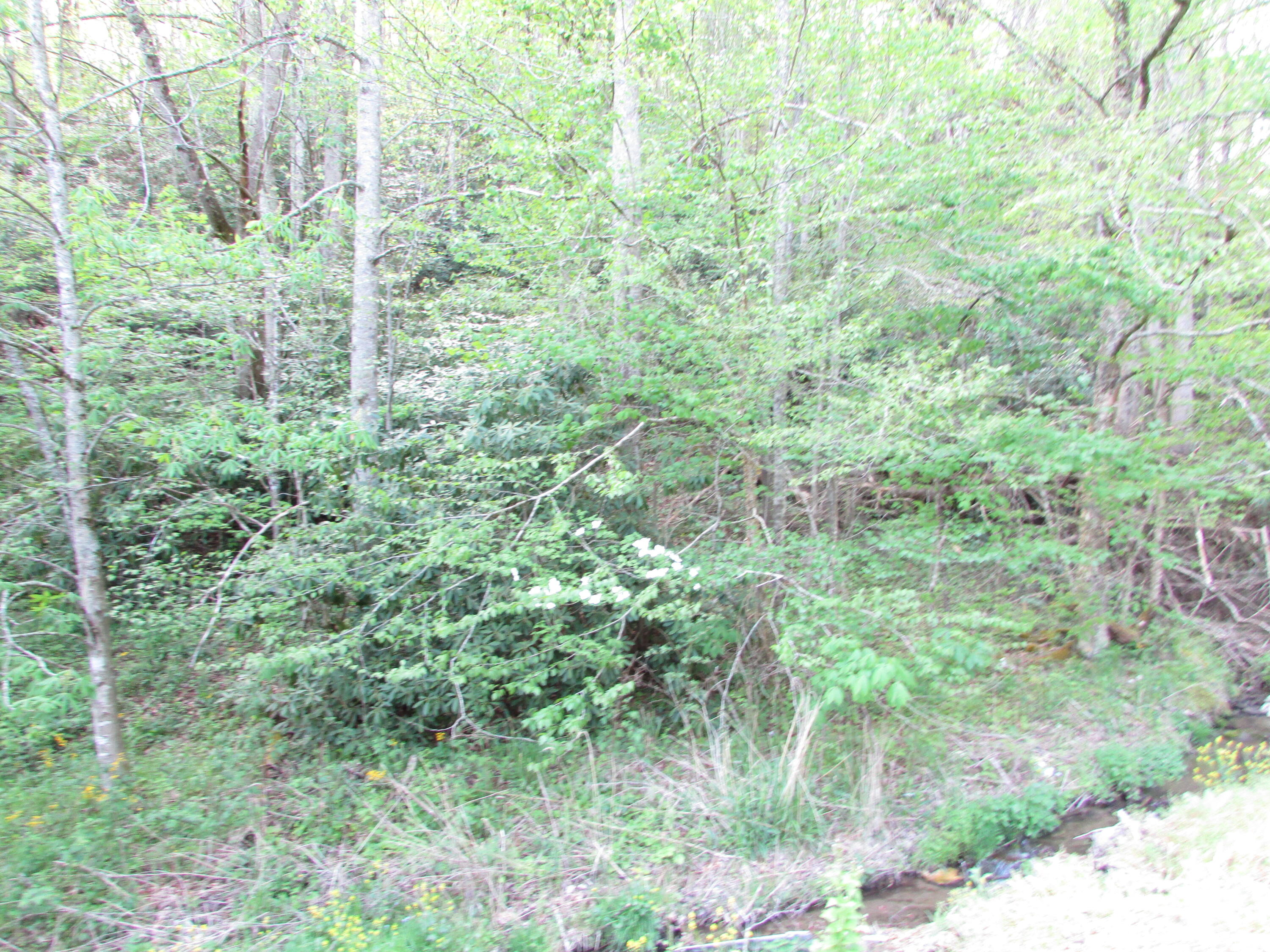 Photo #5: Tbd Clarktown Road