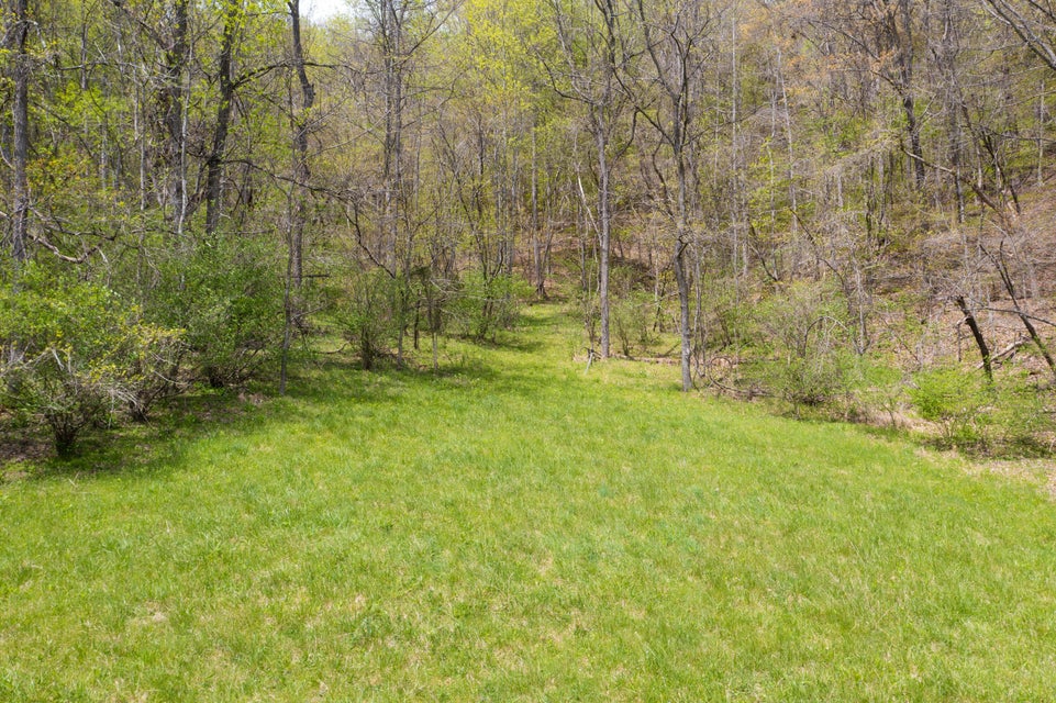 Photo #97: 0 Greasy Valley Drive