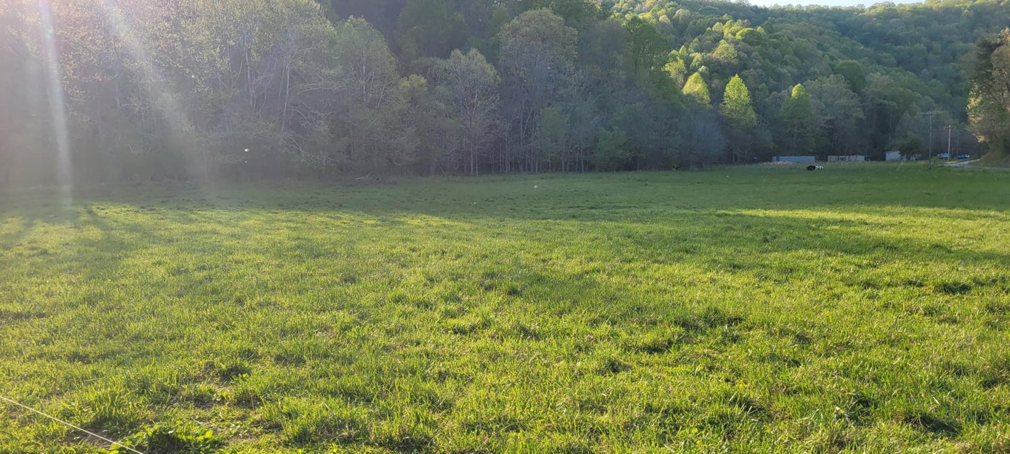 Photo #46: 118 Vaughn Road